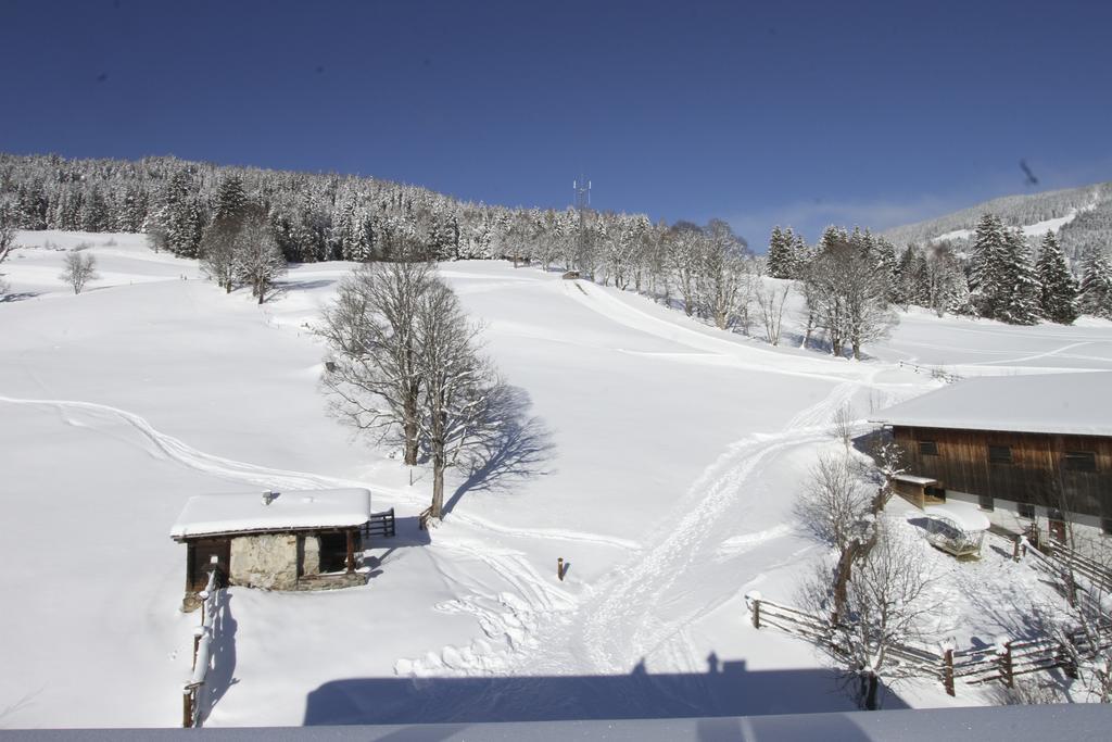 Appartamento Eberharthof Saalbach-Hinterglemm Esterno foto