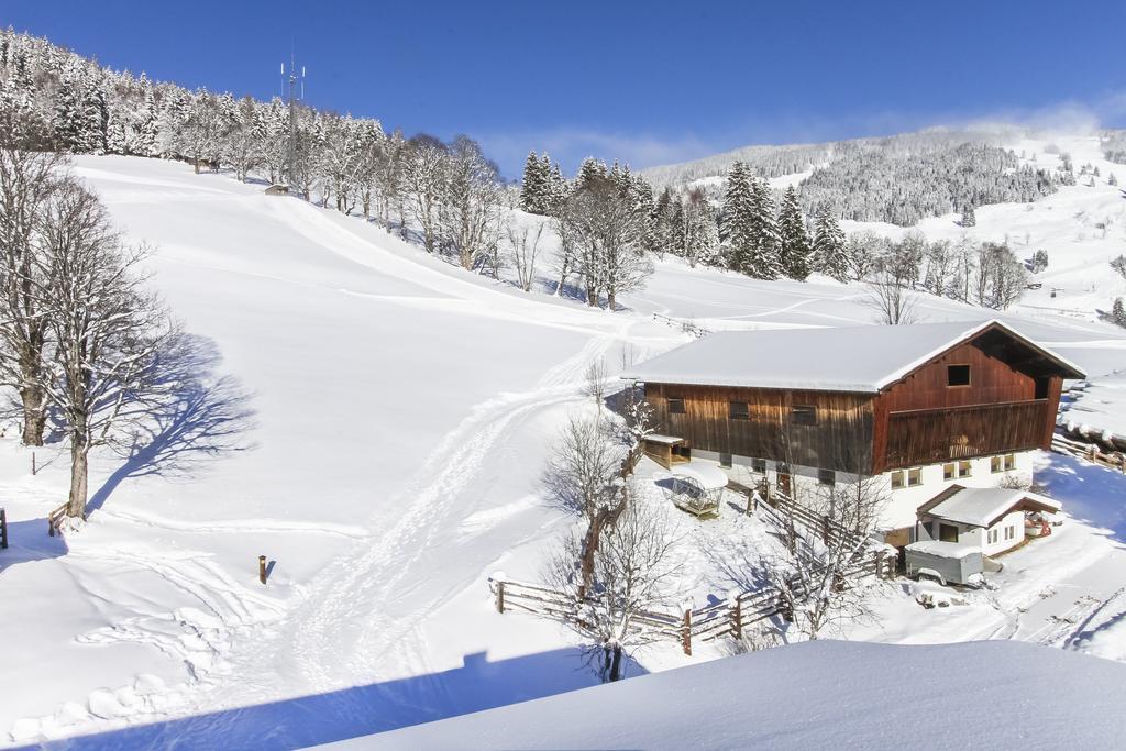 Appartamento Eberharthof Saalbach-Hinterglemm Esterno foto